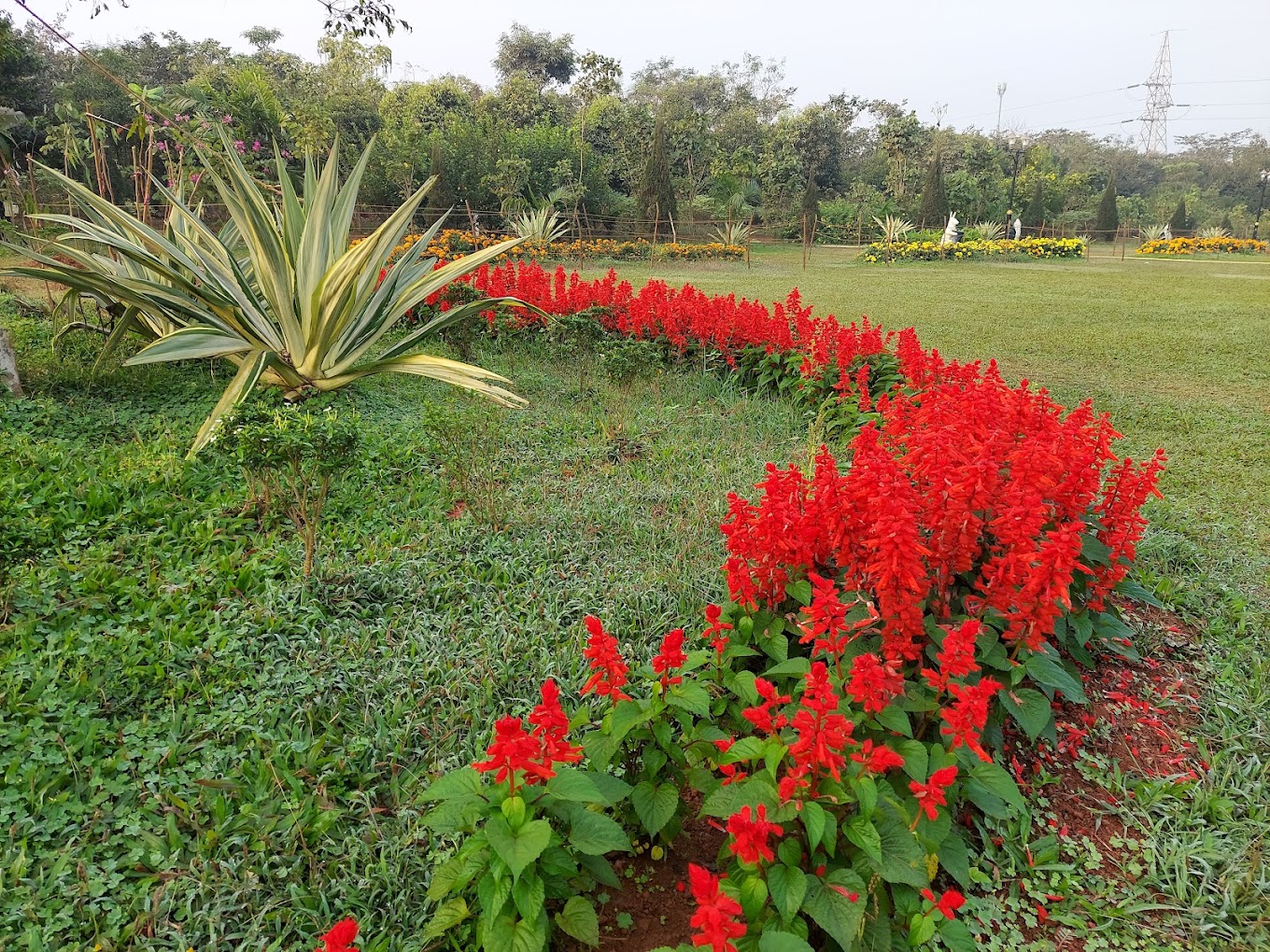 Kelucharan Park, Mancheswar, Bhubaneswar